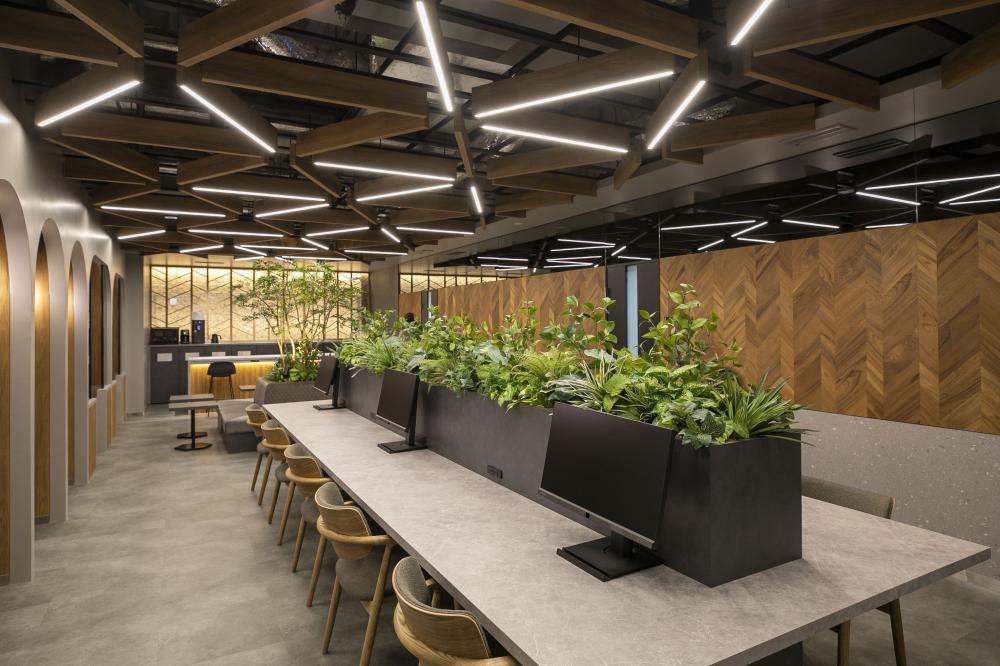 六本木　シェアオフィス　/　170坪