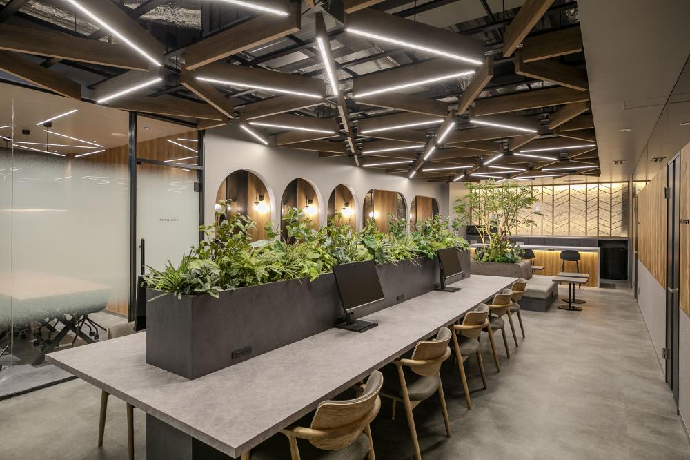 六本木　シェアオフィス　/　170坪写真2枚目