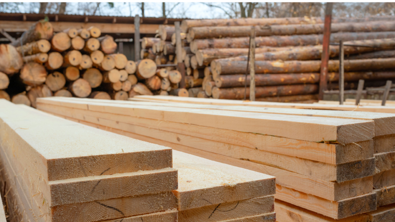 寿司屋で特別感を演出する内装デザインのポイント